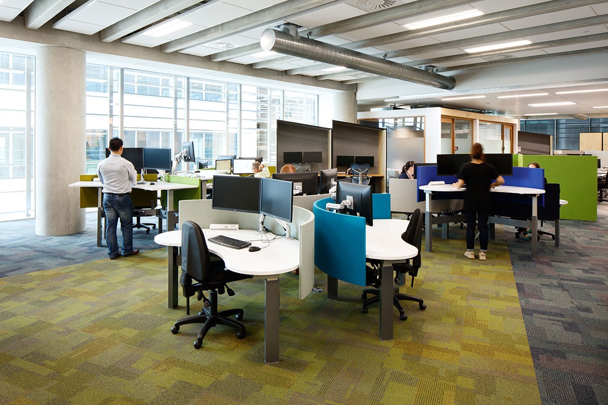 New Zealand Project - Workstation